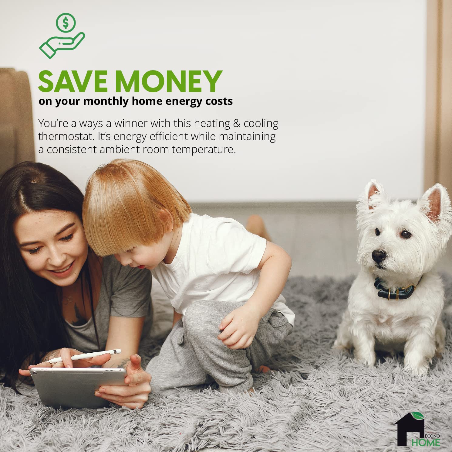 EconoHome thermostat controls ambient temperature for energy-efficient comfort