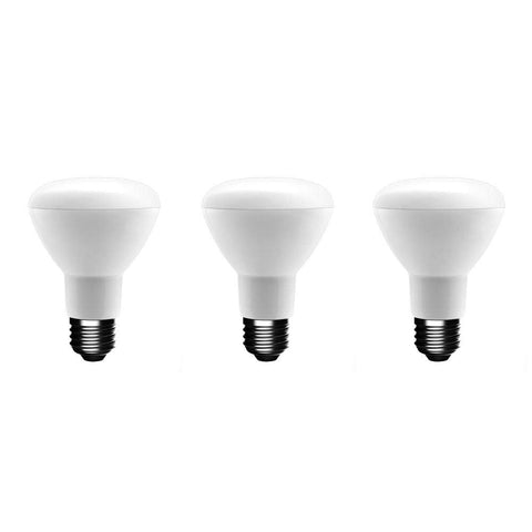 EcoSmart 75W LED daylight bulb close-up highlighting diffuser and dimming range