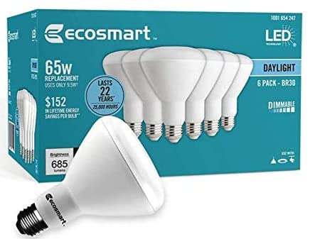 EcoSmart BR30 daylight bulb in original packaging for easy replacement.