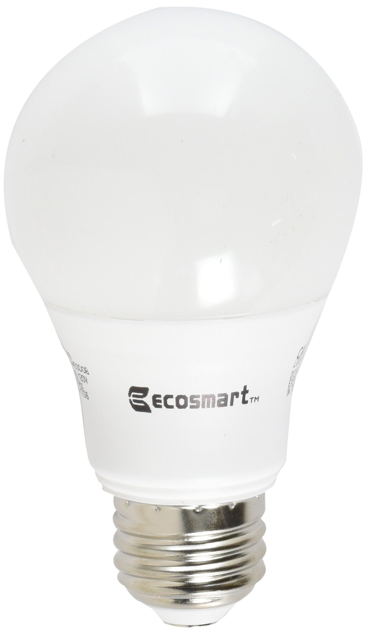 EcoSmart daylight A19 LED bulb, front view, delivering bright 5000K light for living spaces.