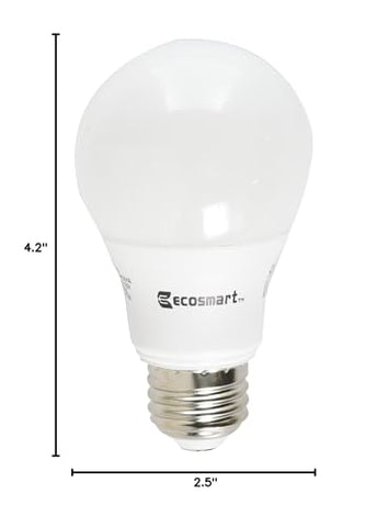EcoSmart daylight A19 LED bulb in a lamp, ideal for kitchen tasks.