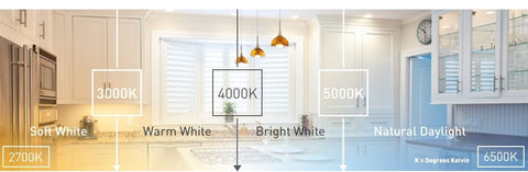 EcoSmart energy-savings graphic comparing incandescent vs LED usage