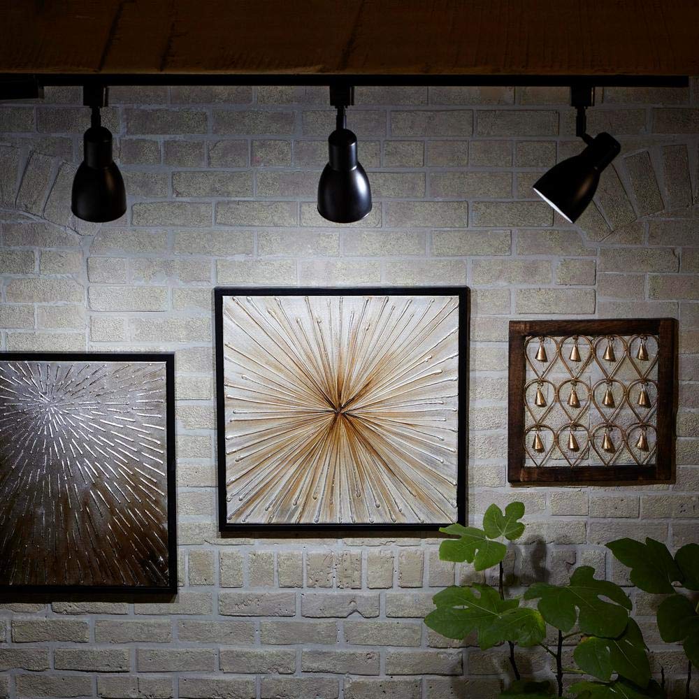 EcoSmart LEDs in recessed lighting show compatibility with track lighting