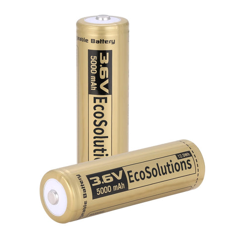 EcoSolutions 217OO battery case 2-pack for reliable on-the-go power.