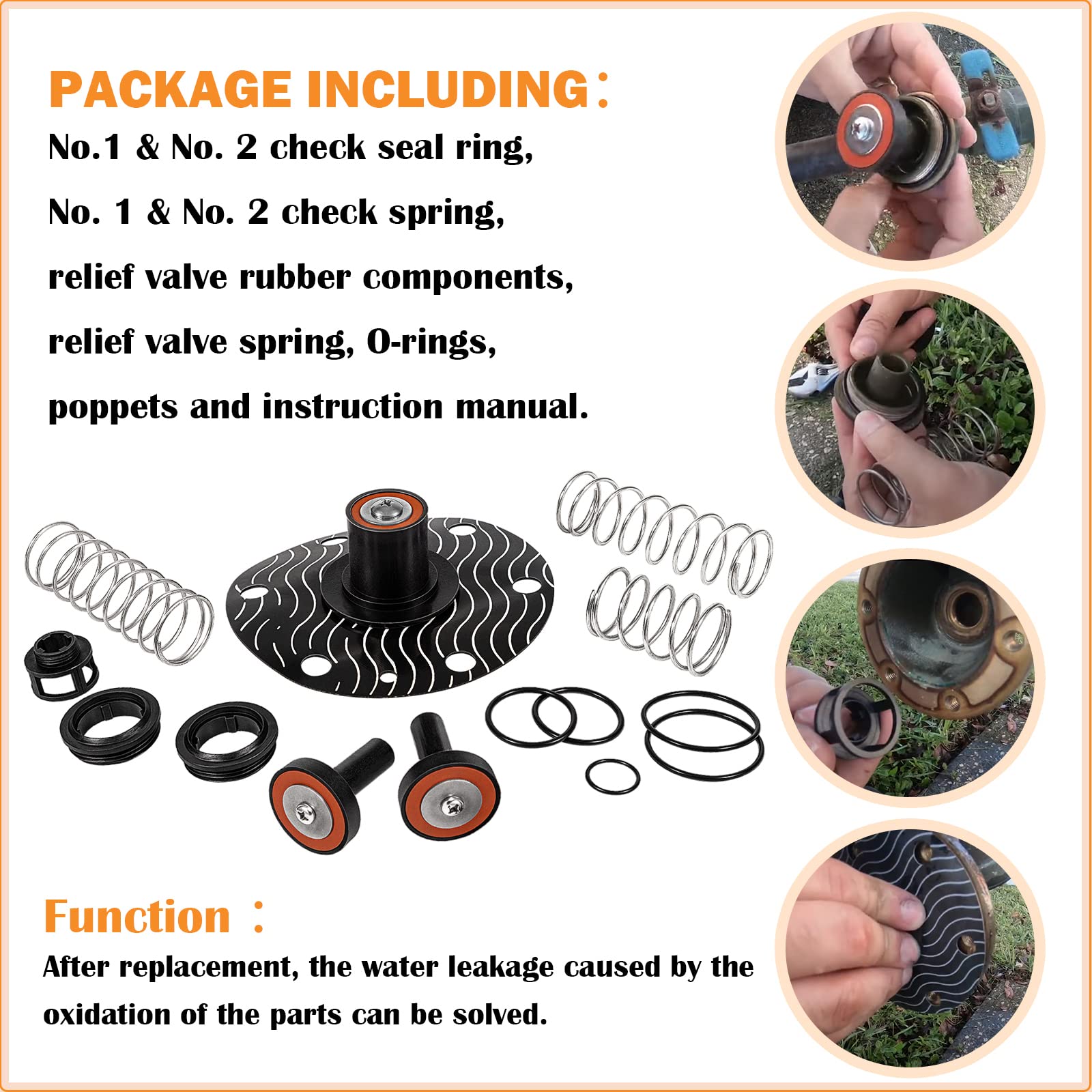 E-cowlboy 975XL repair kit diaphragm and plunger components in view
