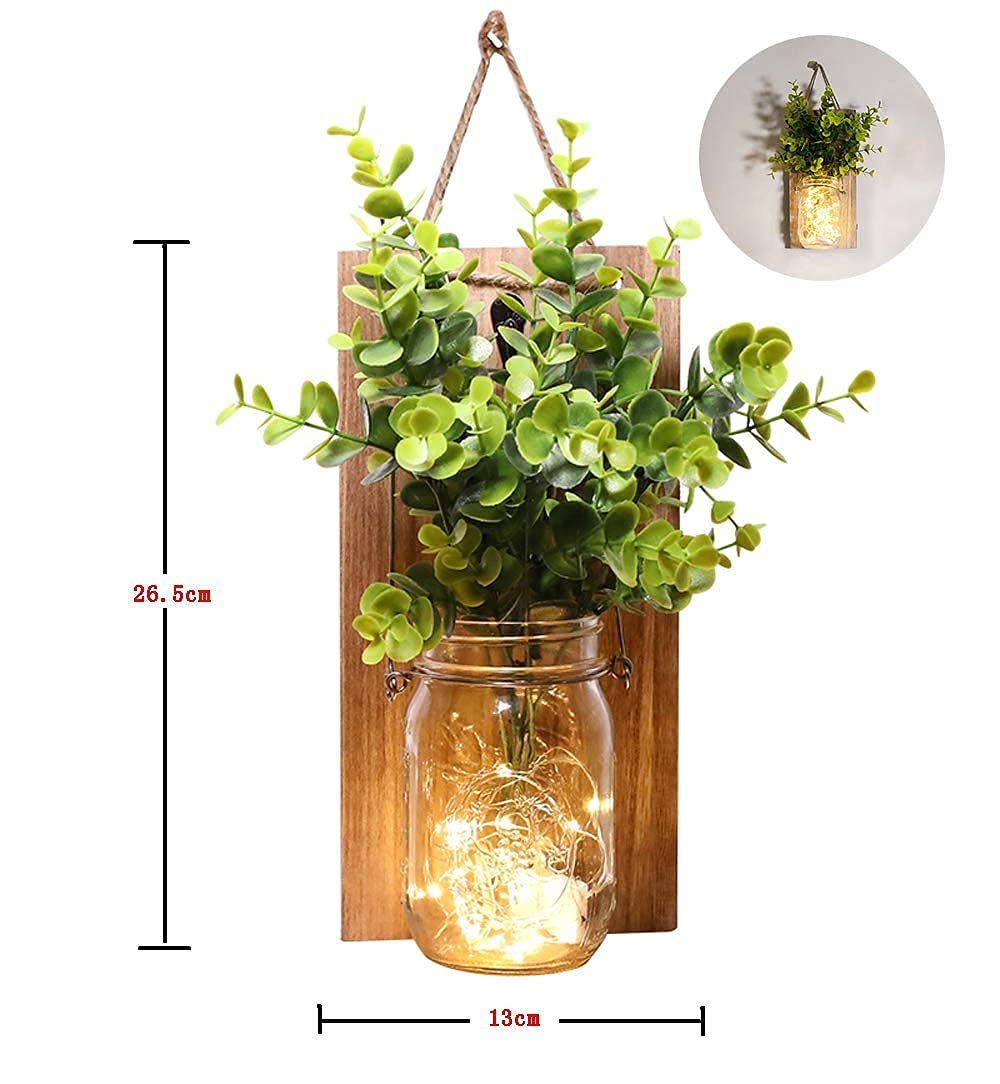 ECTY green plant in glass bottle enhances natural decor and focal point.