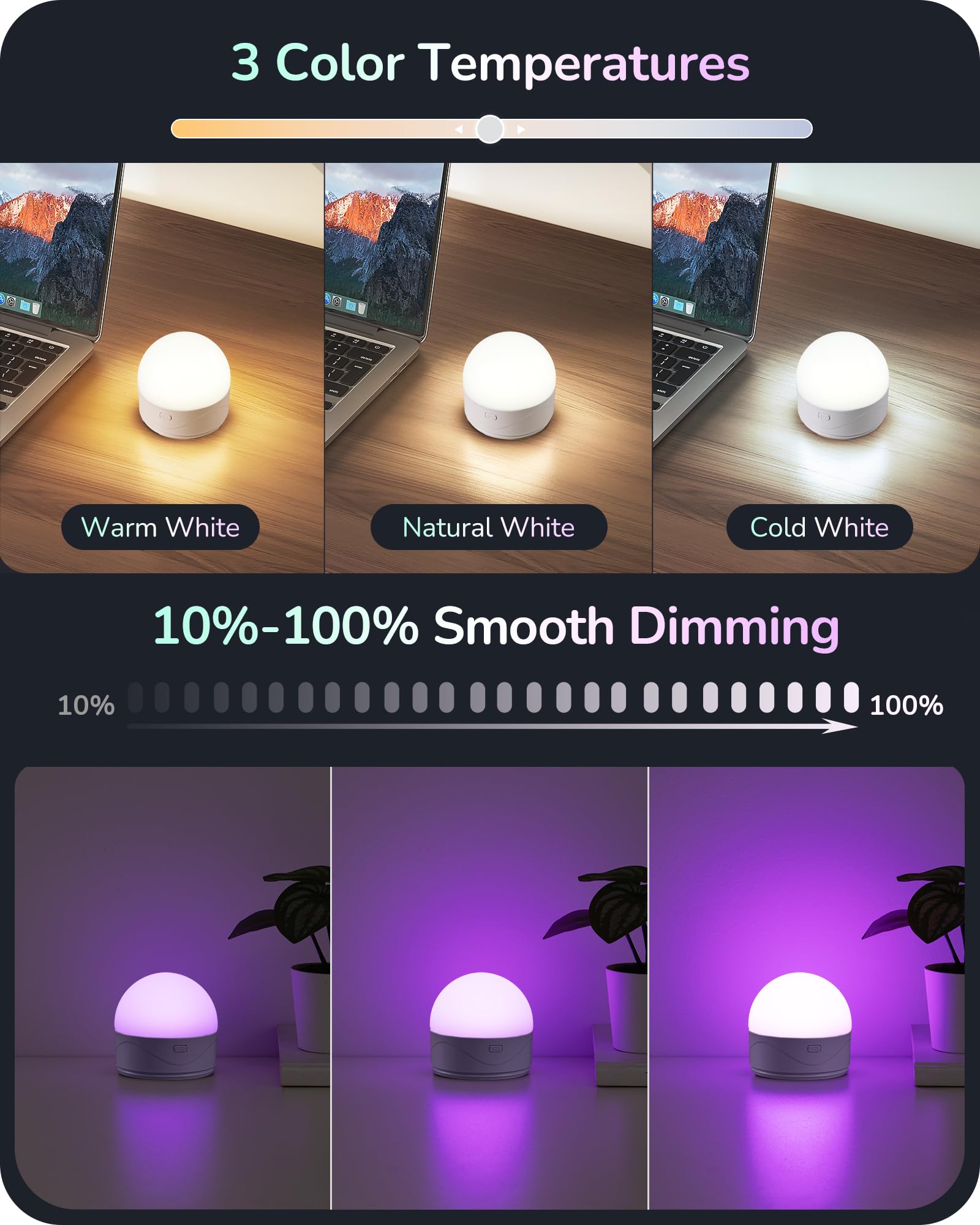 EDISHINE 12 color options with customizable color temperature