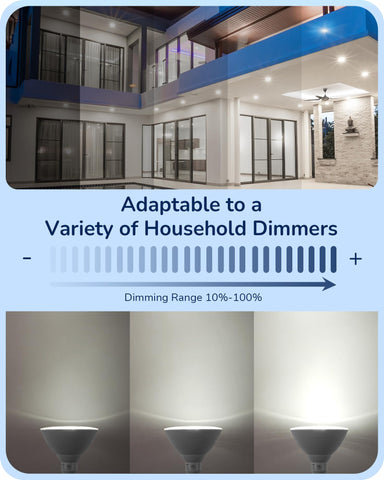 EDISHINE 5000K daylight Par38 for crisp outdoor illumination