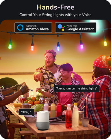 EDISHINE lights equipped for Alexa and Google Assistant voice control