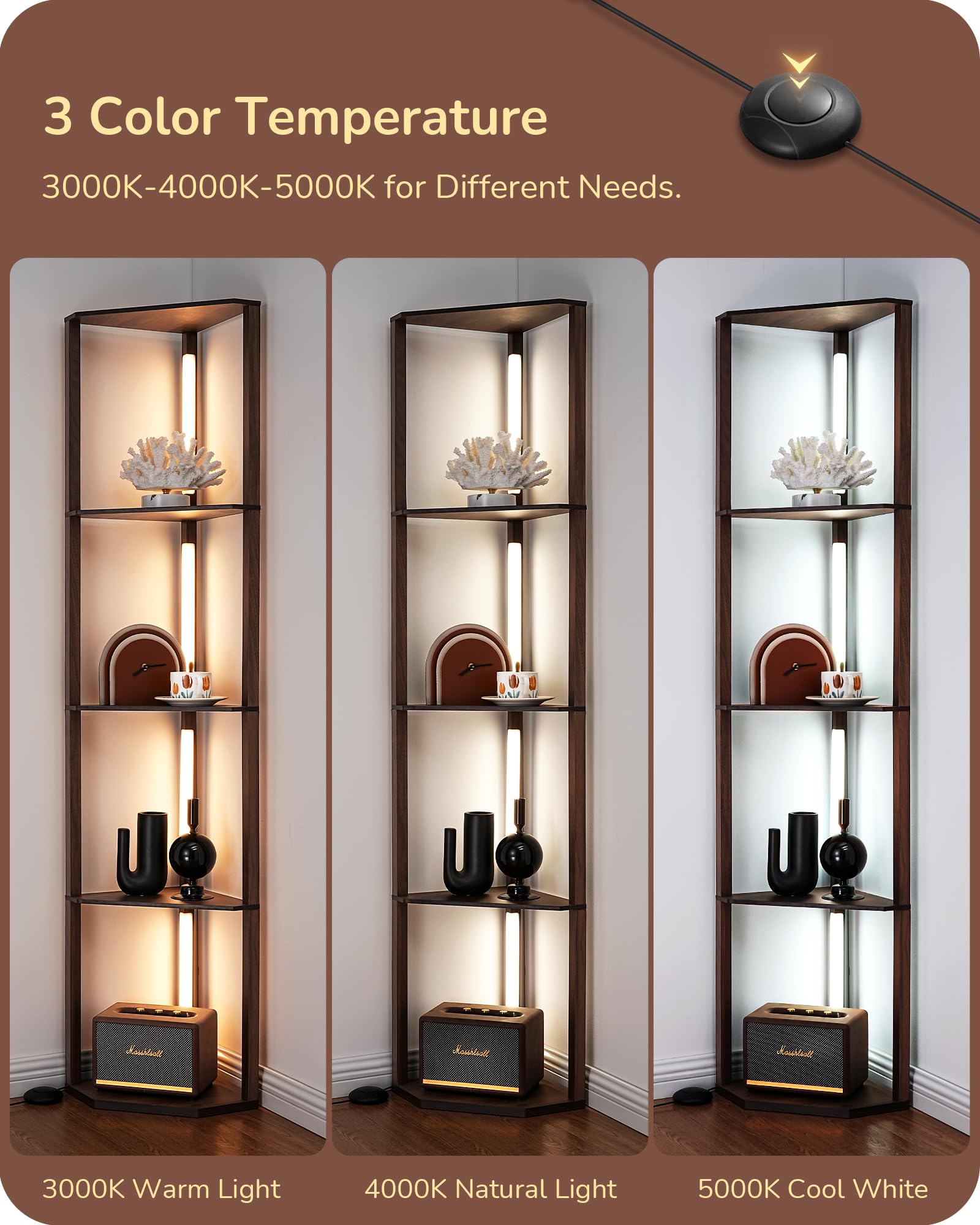 Shelf detail shows four-layer storage beside the light for display and organization.
