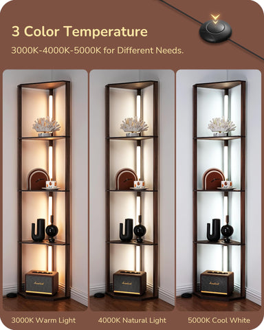 Shelf detail shows four-layer storage beside the light for display and organization.
