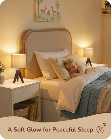 EDISHINE living room lamp creates cozy ambiance for evenings