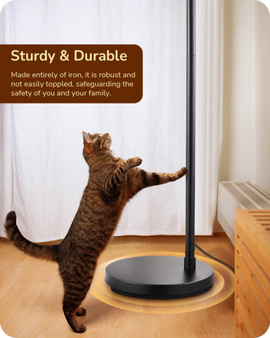 EDISHINE arc floor lamp dimmable brightness supports reading and ambiance