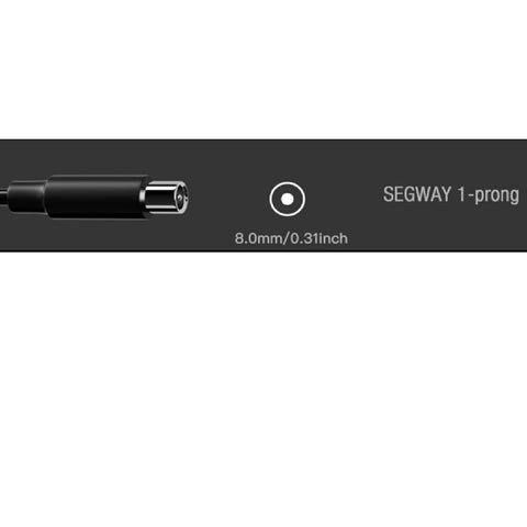 eeTao 42V charger for Phantom GO A9 Foldable, front view, compact adapter for travel.