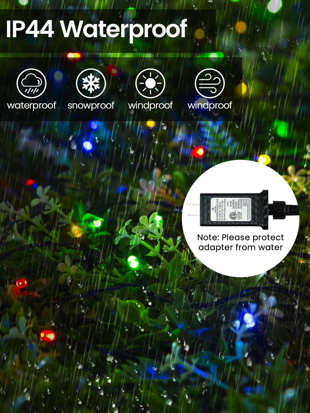 EEW app with voice assistant enables easy customization
