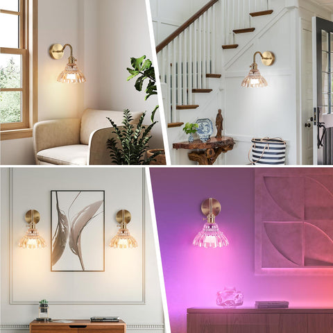 EIDEARAY brass matte finish sconce with flower glass shade