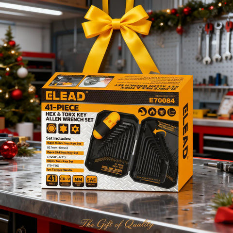 ELEAD 41-piece kit covers standard, metric, and torx needs.