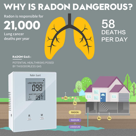 Elifecity portable radon meter display shows daily readings for quick checks