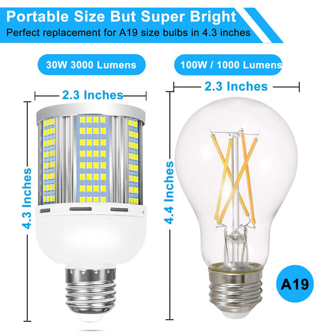 ELIVERN 3000 lumen at 5000K daylight for instantly bright rooms and hallways.