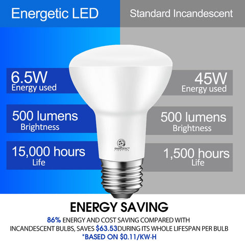 Energetic Lighting damp-rated bulb suitable for indoor and covered outdoor spaces