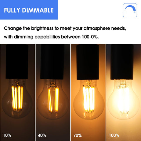 Energetic Lighting 2700K soft white glow from clear Edison bulb for bedrooms