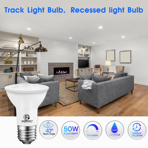 Energetic Lighting dimmable PAR20 bulbs deliver smooth control for cozy scenes.