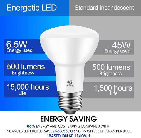 Energetic Lighting energy savings with 15,000 hour lifespan.