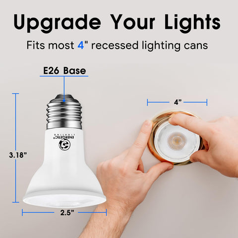Energetic Lighting 40-degree beam PAR20 bulbs for focused illumination, ideal for accents.