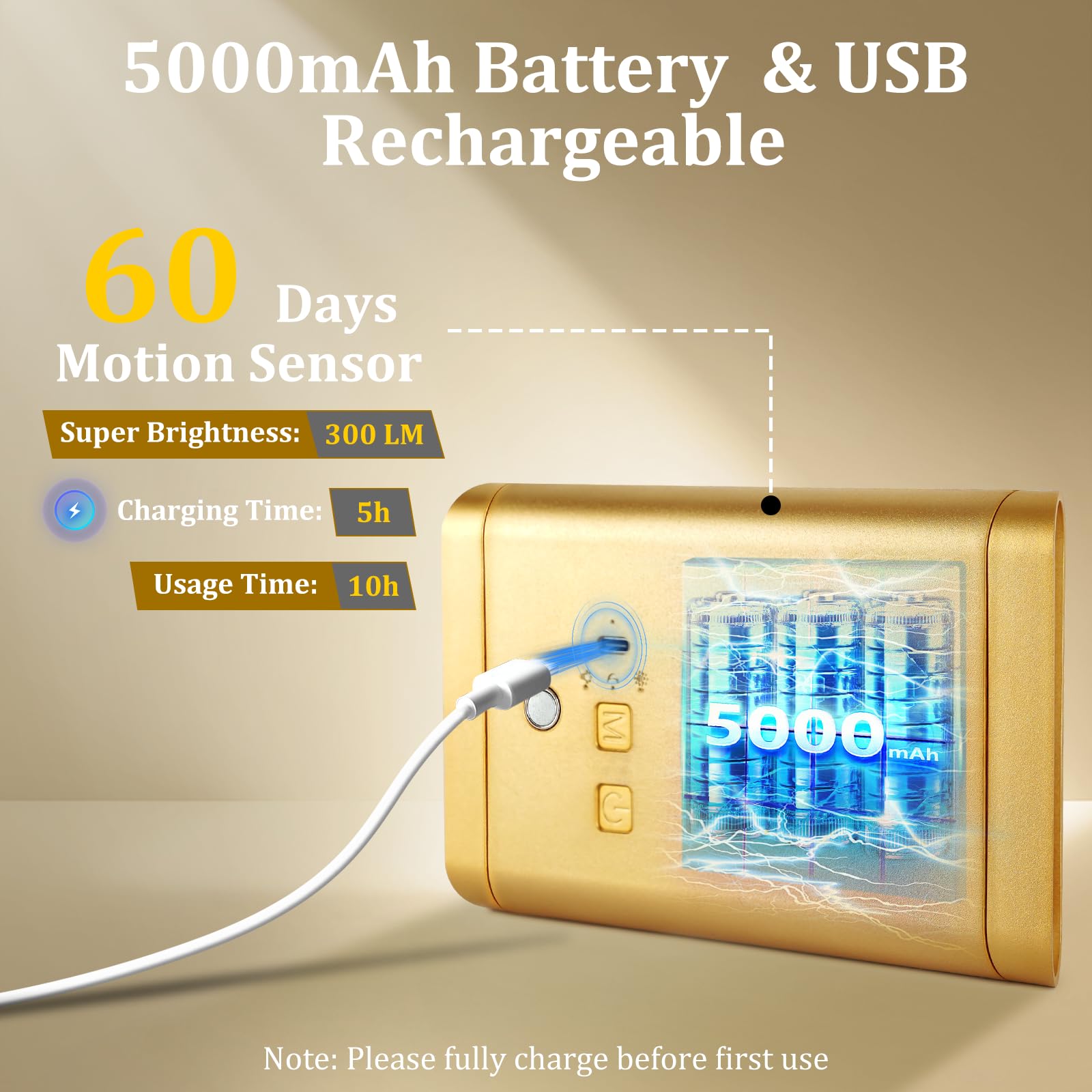 Eneru motion-sensor wall light detects presence up to sixteen feet.