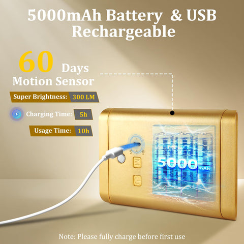 Eneru motion-sensor wall light detects presence up to sixteen feet.