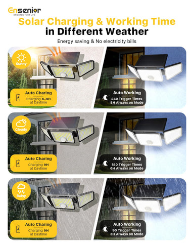 Ensenior 220 LED outdoor lights delivering bright yard and pathway illumination