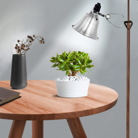EP Clamp Lamp 2-pack suits studios and workshops