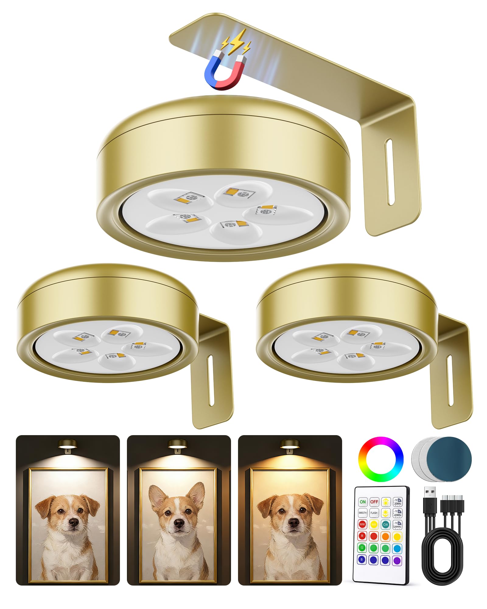 ERMTCTS picture light with remote control enhances artwork presentation in living rooms