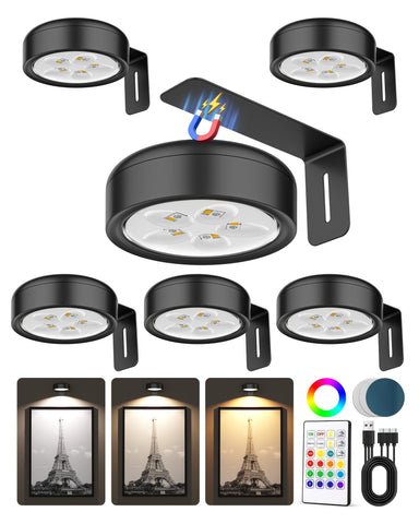 ERMTCTS picture light on wall highlights artwork with adjustable warmth.