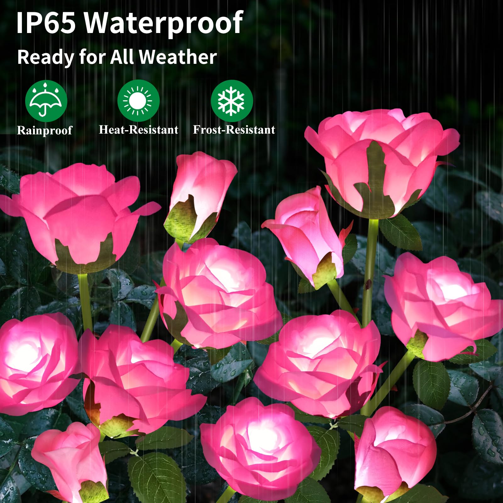 Etre Jeune IP65 waterproof rose lights stay bright through rain and snow.