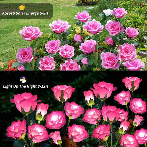 Etre Jeune auto on/off functionality makes evening lighting effortless.