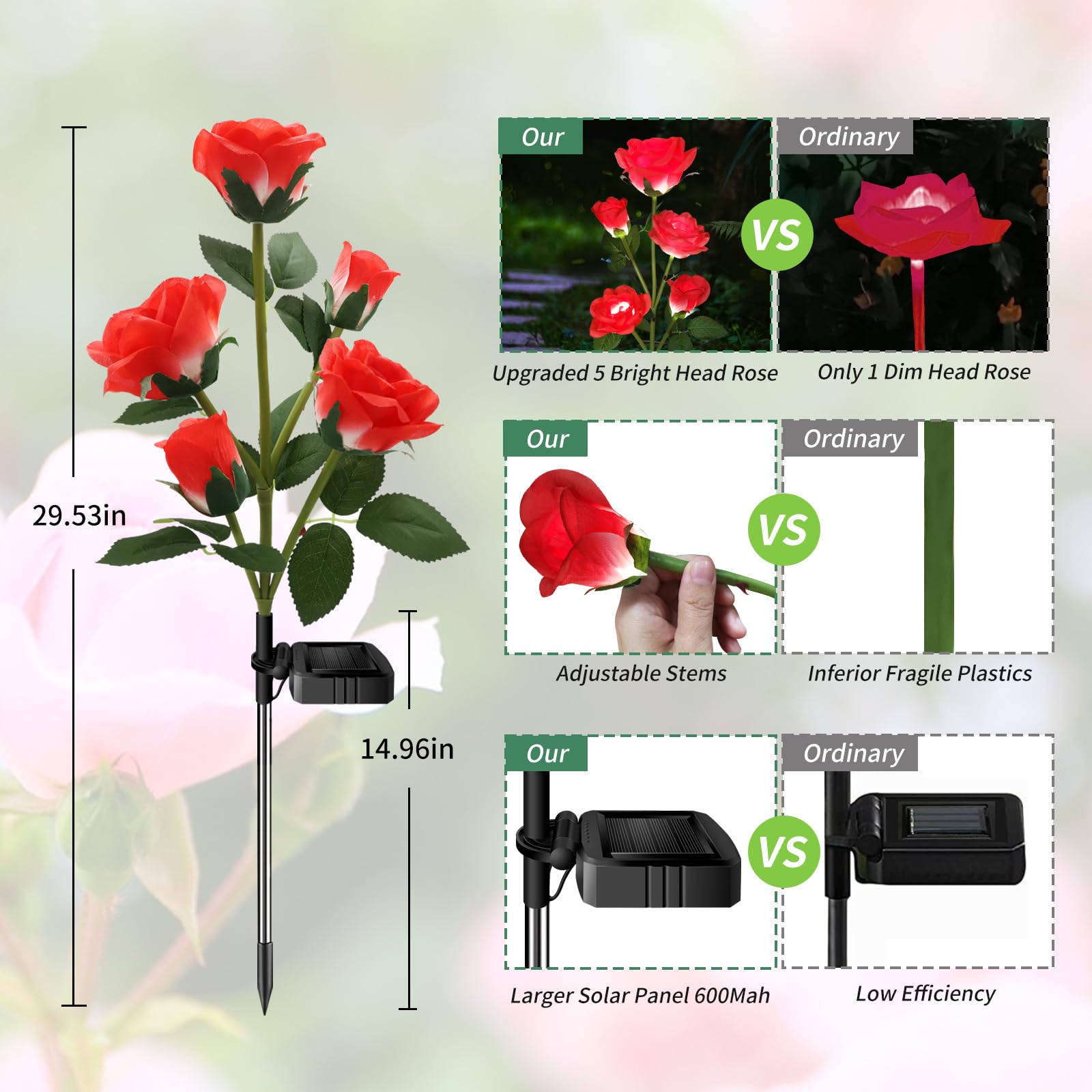 Etre Jeune solar rose lights show delicate petals for decorative mood.