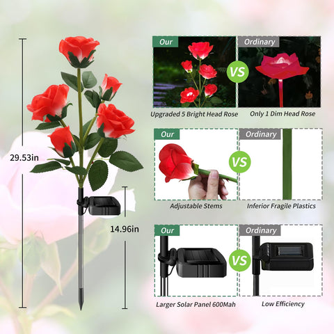 Etre Jeune solar rose lights show delicate petals for decorative mood.