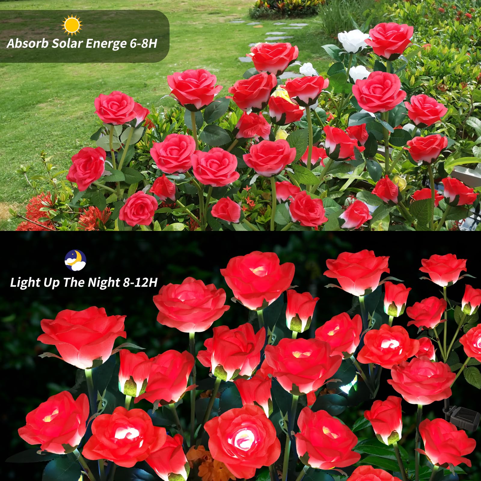 Etre Jeune solar rose lights along a yard pathway for warm guidance.