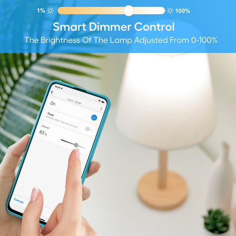 Eva's Light dimmer plug with voice control using Alexa.