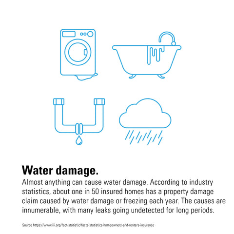 Eve Water Guard HomeKit-enabled setup for seamless iPhone alerts.