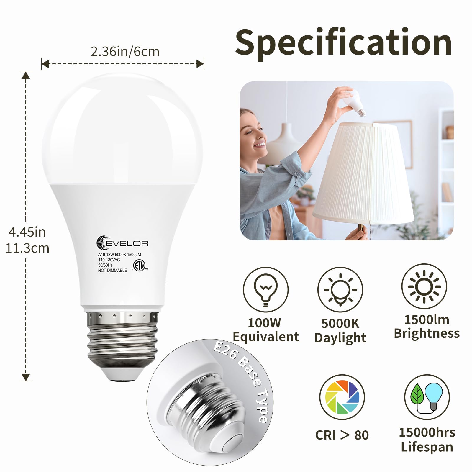 Evelor A19 LED daylight 5000K for bright, daylight-like illumination