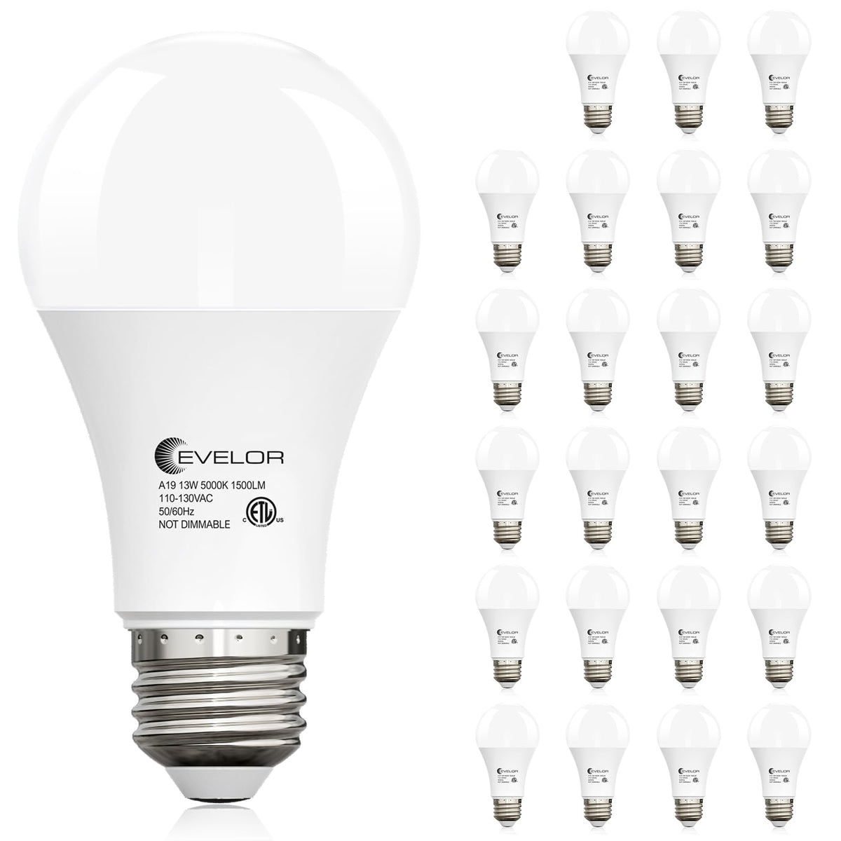 Evelor 24-pack A19 LED bulbs package ready for quick installation