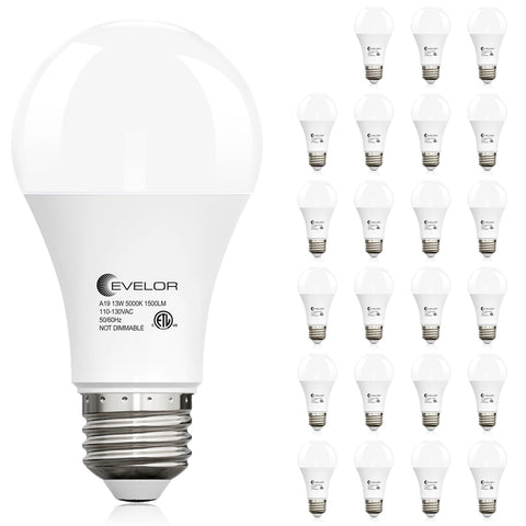 Evelor 24-pack A19 LED bulbs package ready for quick installation
