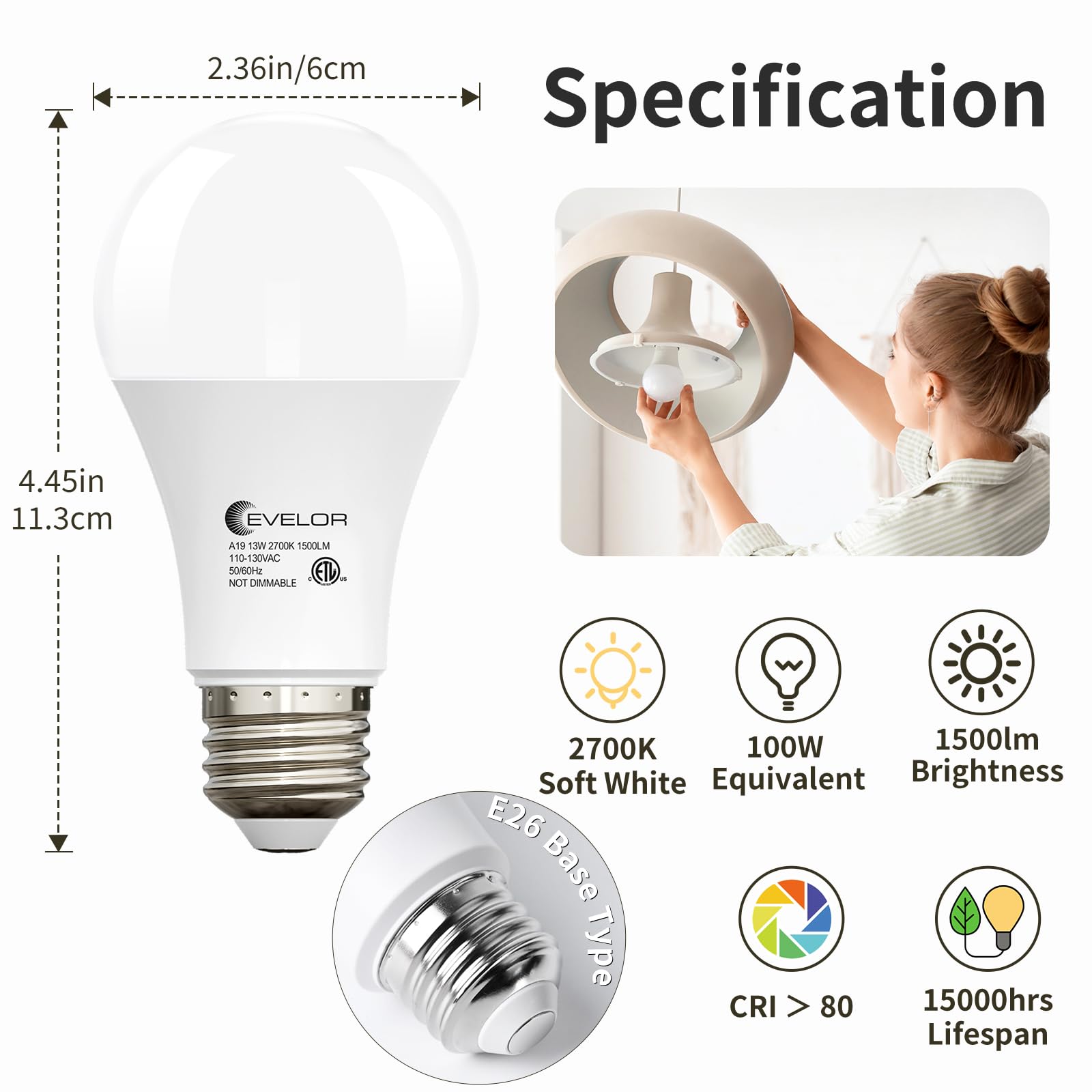 Evelor A19 LED bulb 1500 lumens with CRI 80+ for accurate colors.