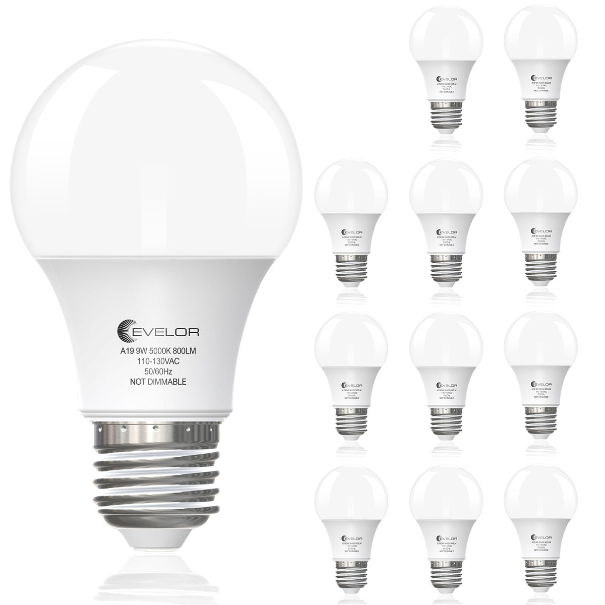 Evelor A19 LED bulbs with daylight 5000K and E26 base for vibrant true-color lighting.