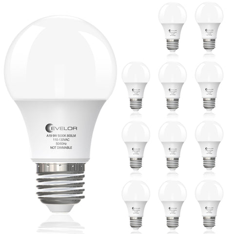 Evelor A19 LED bulbs with daylight 5000K and E26 base for vibrant true-color lighting.
