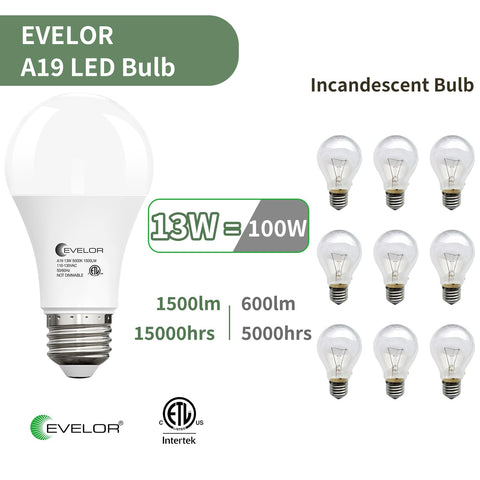 Flicker-free Evelor A19 LED beads ensure steady lighting