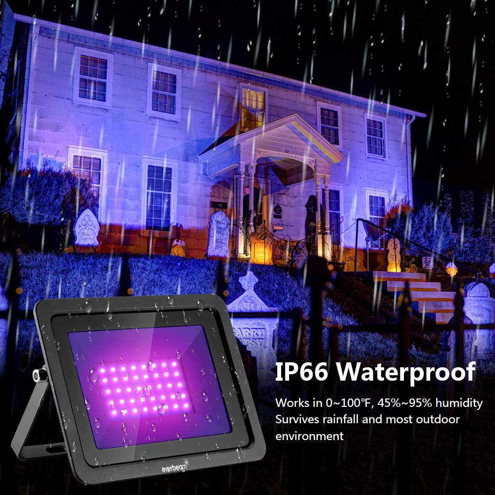Everbeam 180-degree adjustable bracket lets you aim the glow precisely.