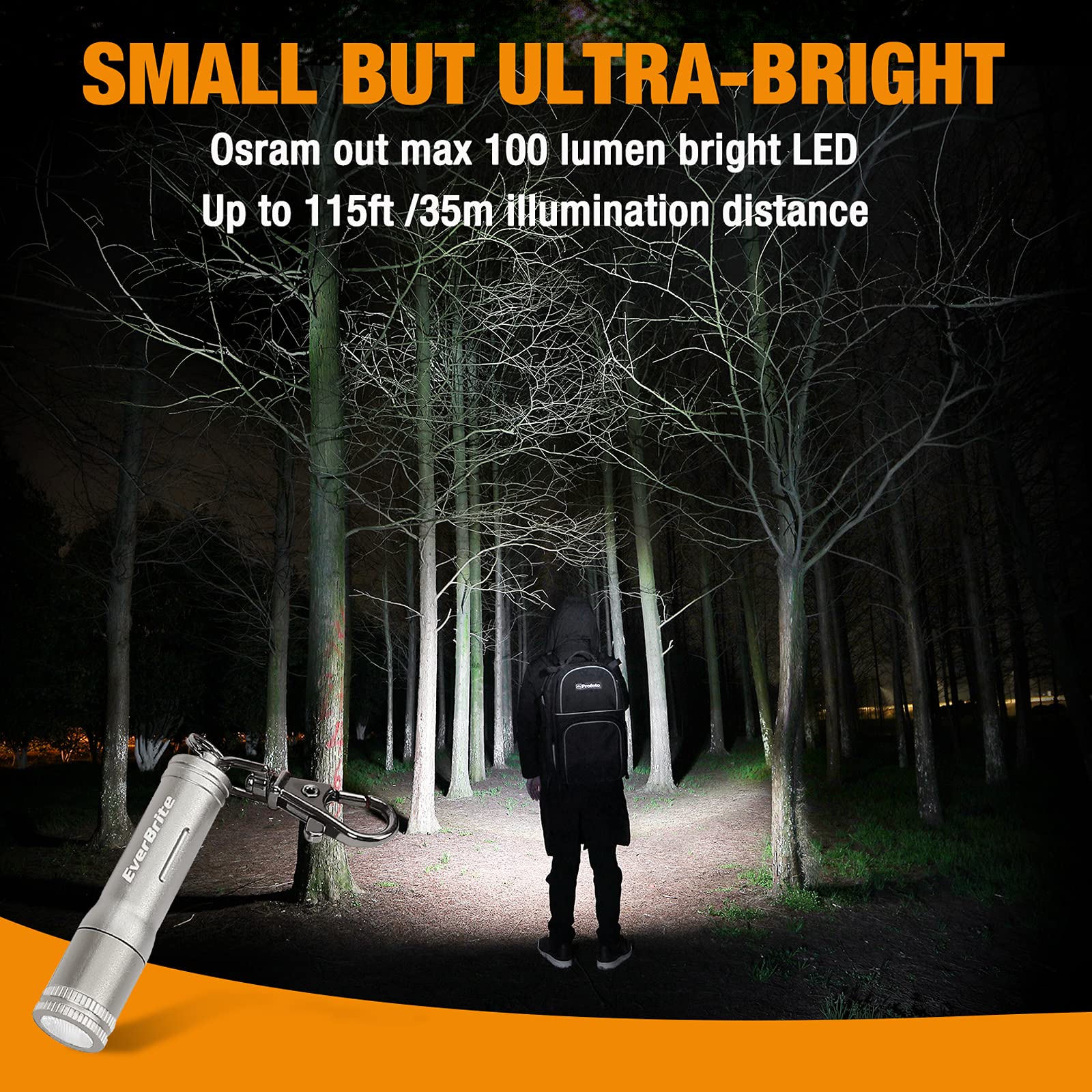 EverBrite Keychain LED Flashlight AAA battery included for immediate use.